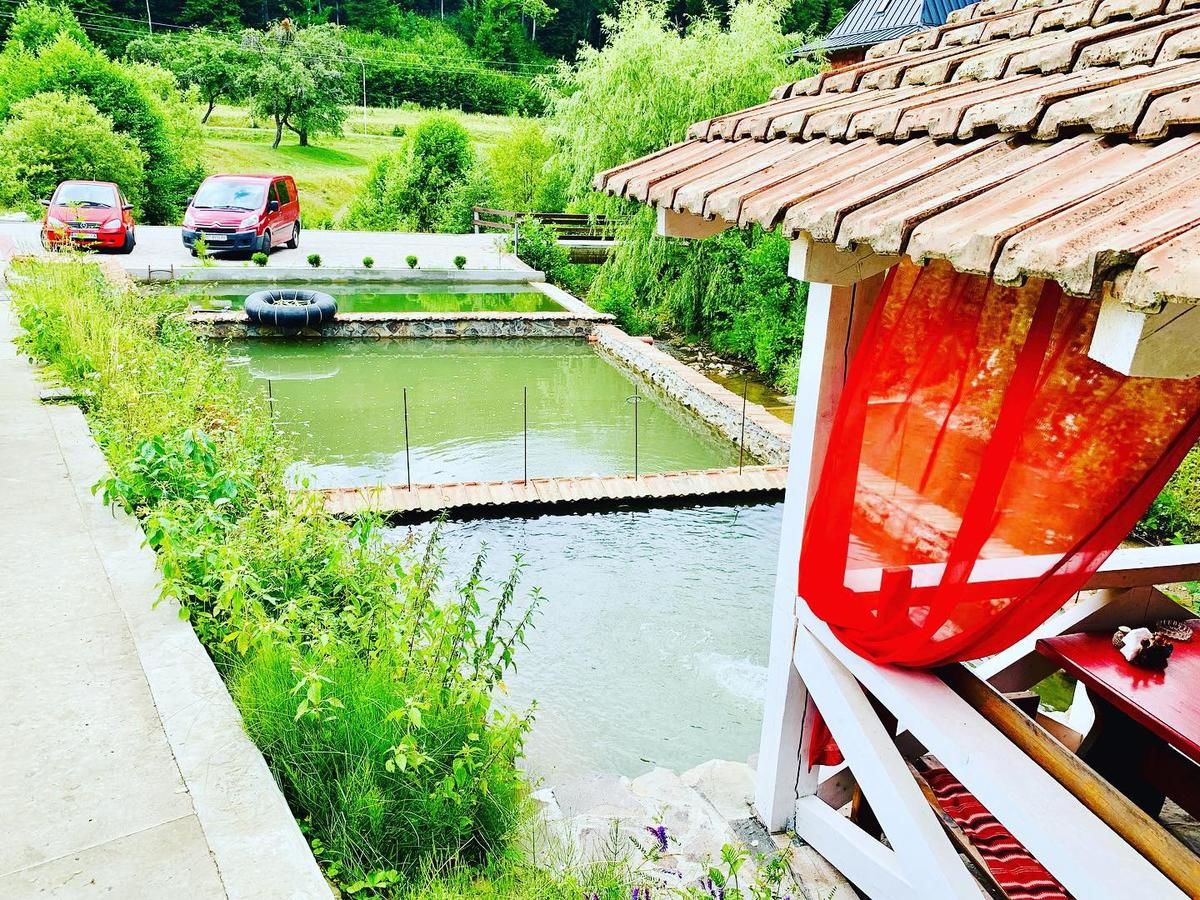 Отель Chalet Vedmezhe Поляна-47