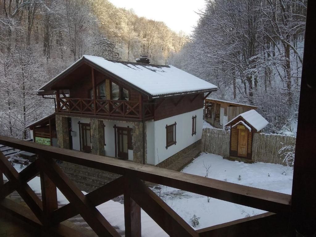Отель Chalet Vedmezhe Поляна
