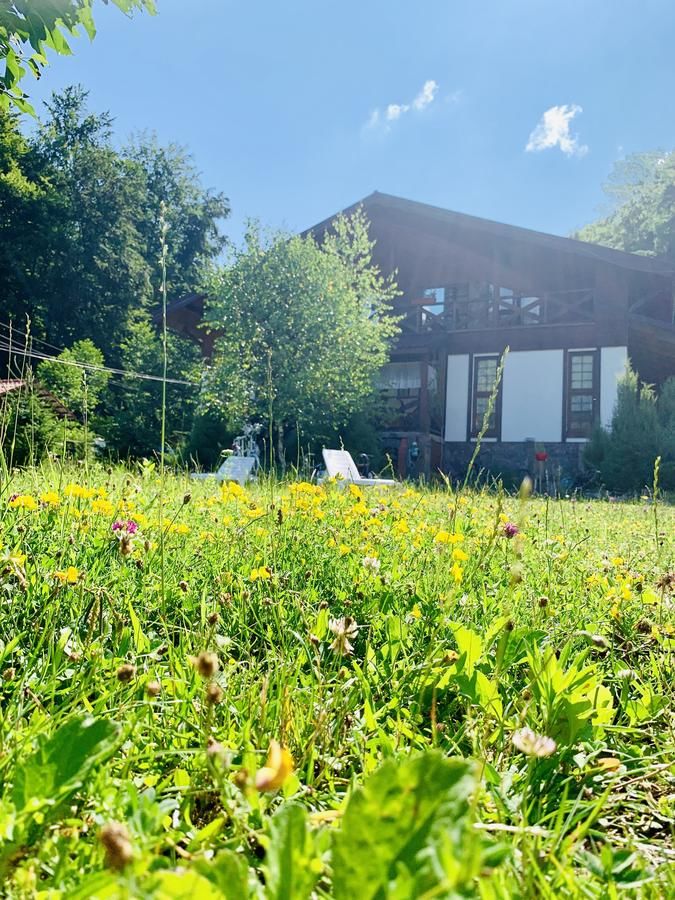 Отель Chalet Vedmezhe Поляна-11